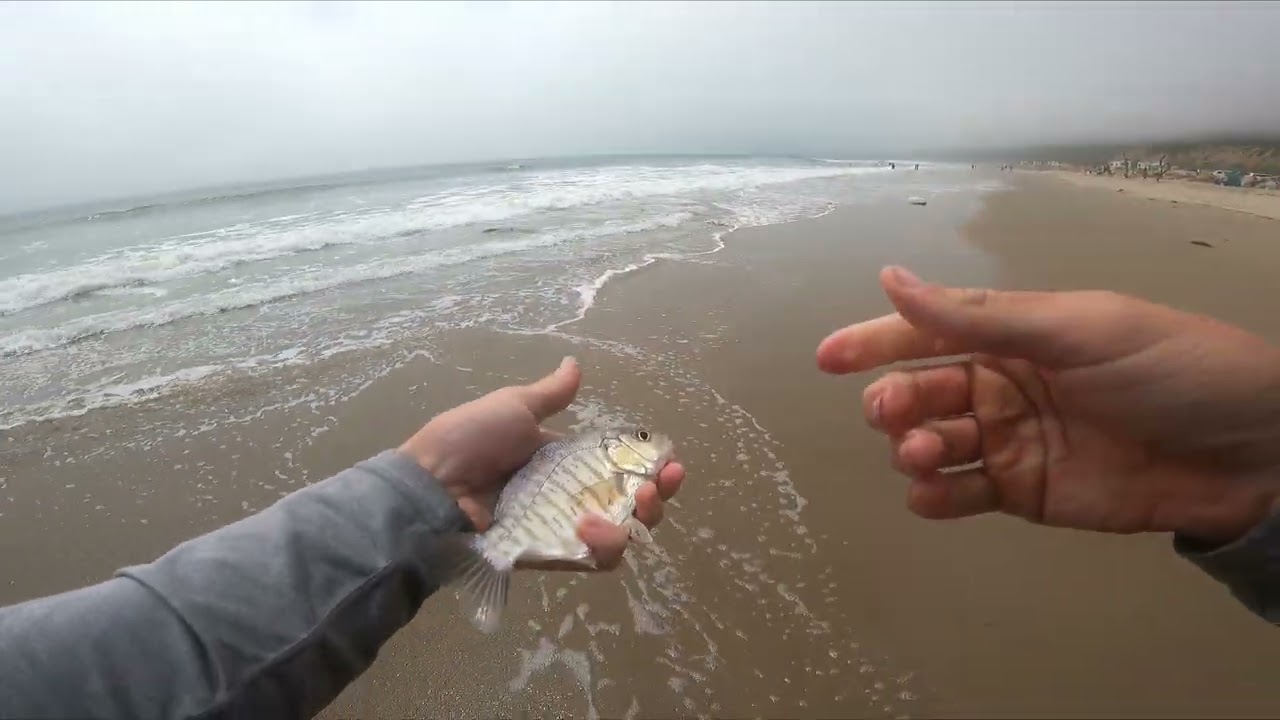 southern california surf fishing rig