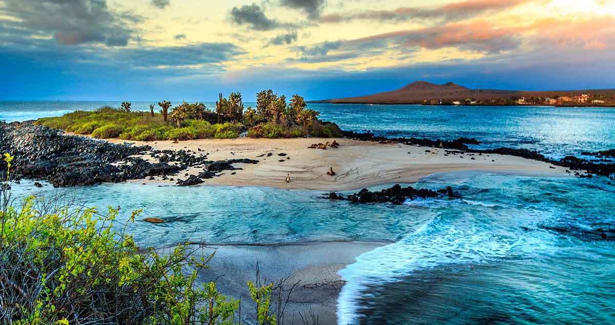 The Magic of the Galapagos Islands